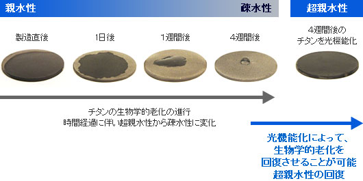 より早い接着性を実現する光機能化インプラント